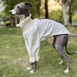 Camiseta abrigo protección solar perros Italian Greyhound y Bedlington