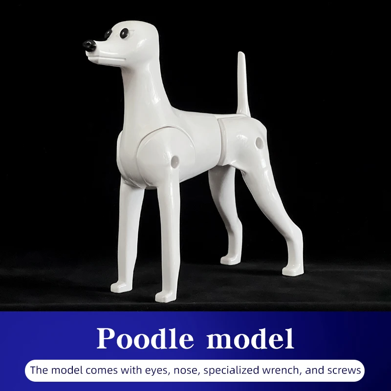 Poodle model