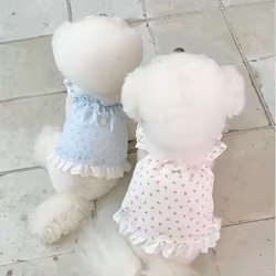 Vestido verano para perro pequeño – Encaje para Yorkshire