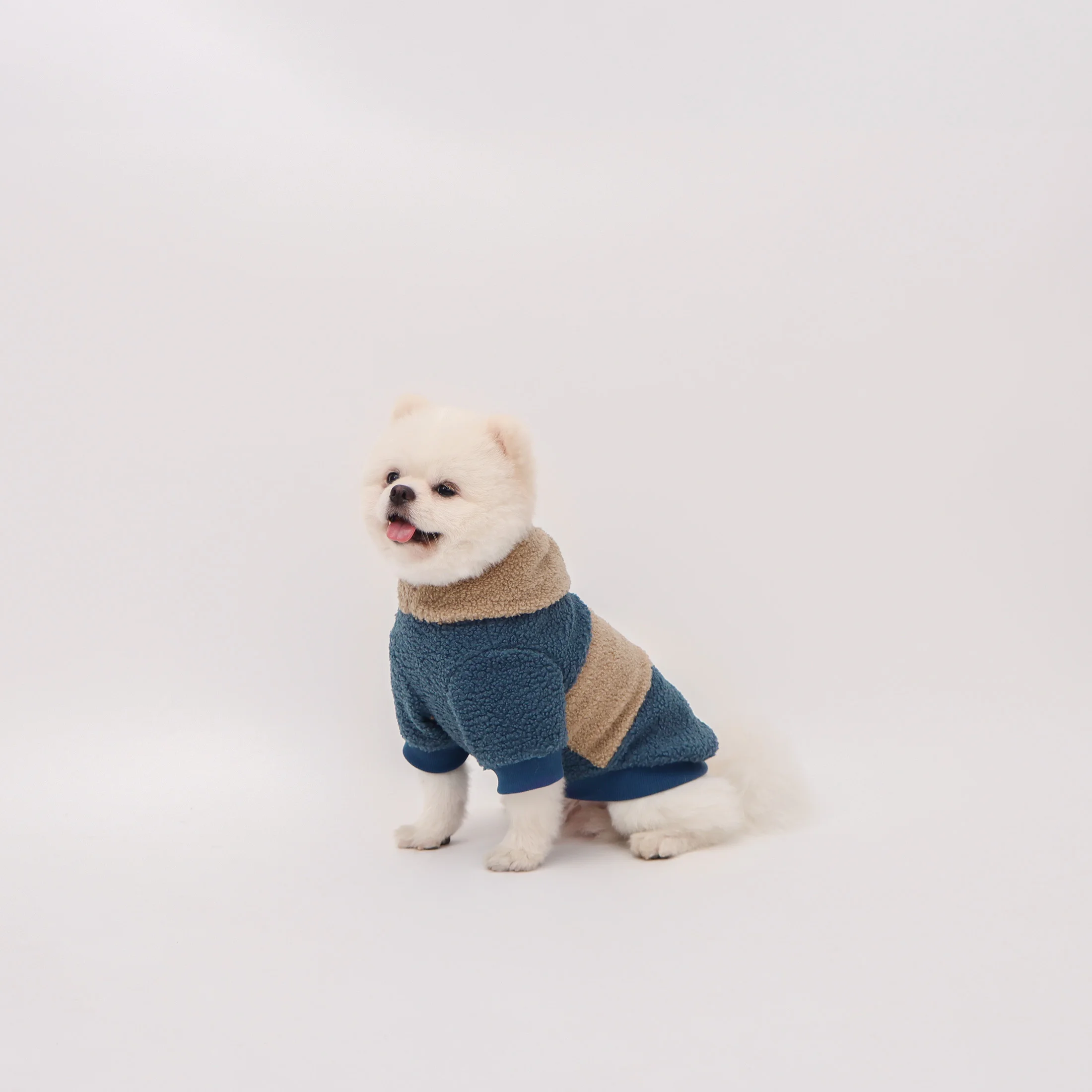 Sudadera con capucha para perros y gatos - cálida en invierno - imagen 5