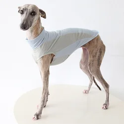 Chaleco ligero con protección solar para galgo italiano