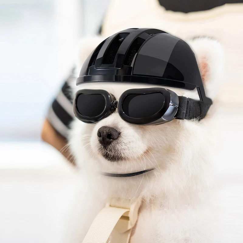 Casco protector para perros pequeños y medianos – Paseos seguros - imagen 2