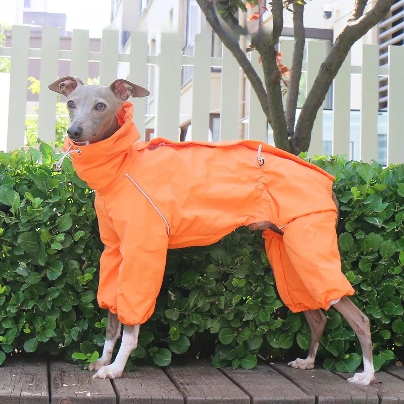 Impermeable para galgos y whippets cuello alto cremallera ajustable - imagen 5