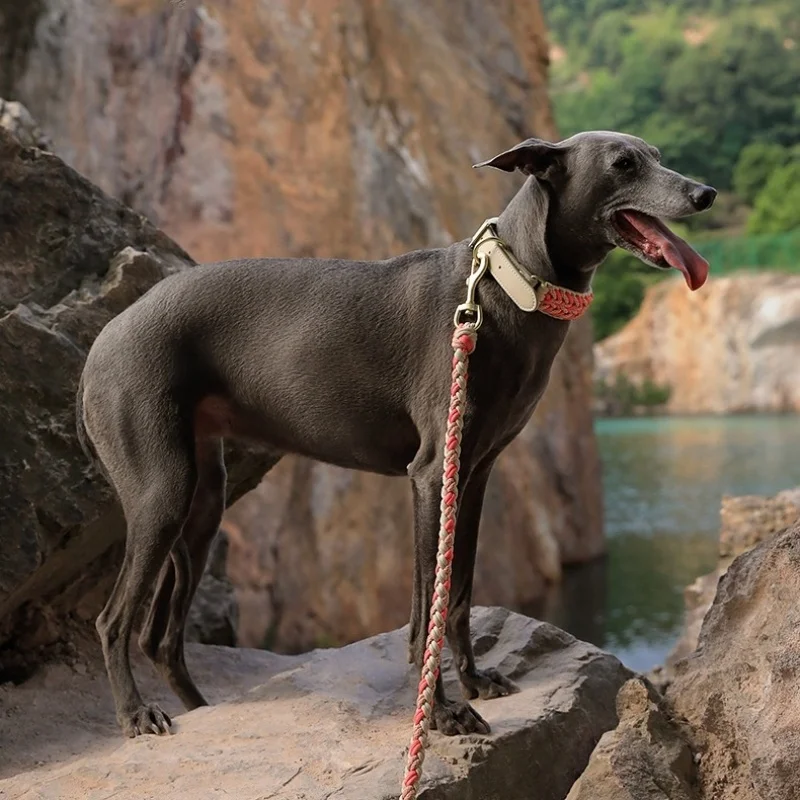 Collar de cuero tejido a mano para mascotas, conjunto de correa, Collar de perro a rayas multicolor, Collar de perro trenzado suave y ajustable con hebilla de Metal - imagen 5