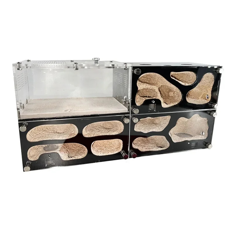 Granja de hormigas de hormigón, Control inteligente de temperatura, nido de hormigas, empalmable, antill expandido, casa de hormigas, perrera de hormigas acrílicas, caja de insectos - imagen 2