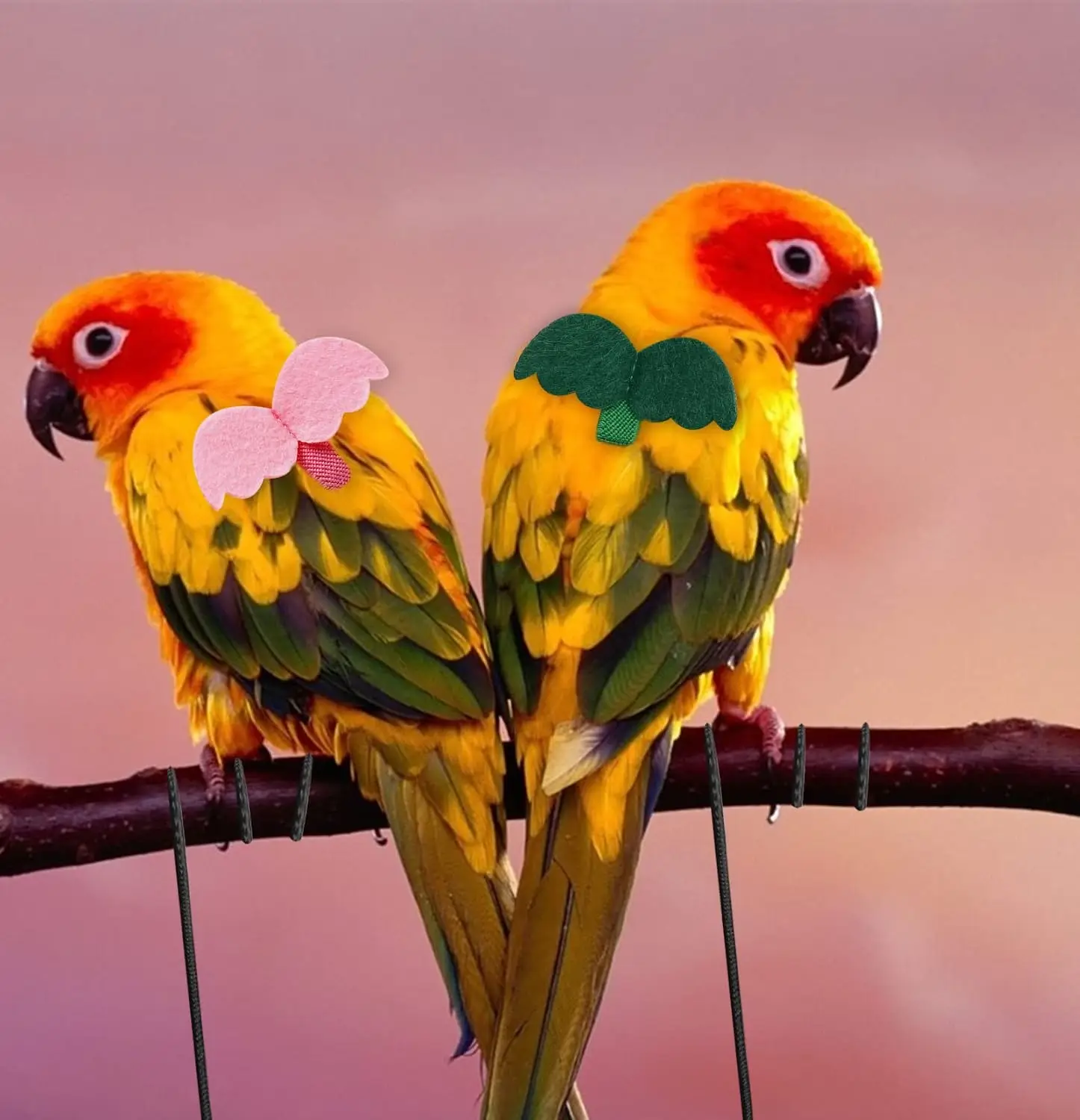 Arnés elástico para loros, correa de entrenamiento ajustable para palomas y pájaros, Agaporni, periquitos, periquitos, periquitos, accesorios para loros - imagen 2