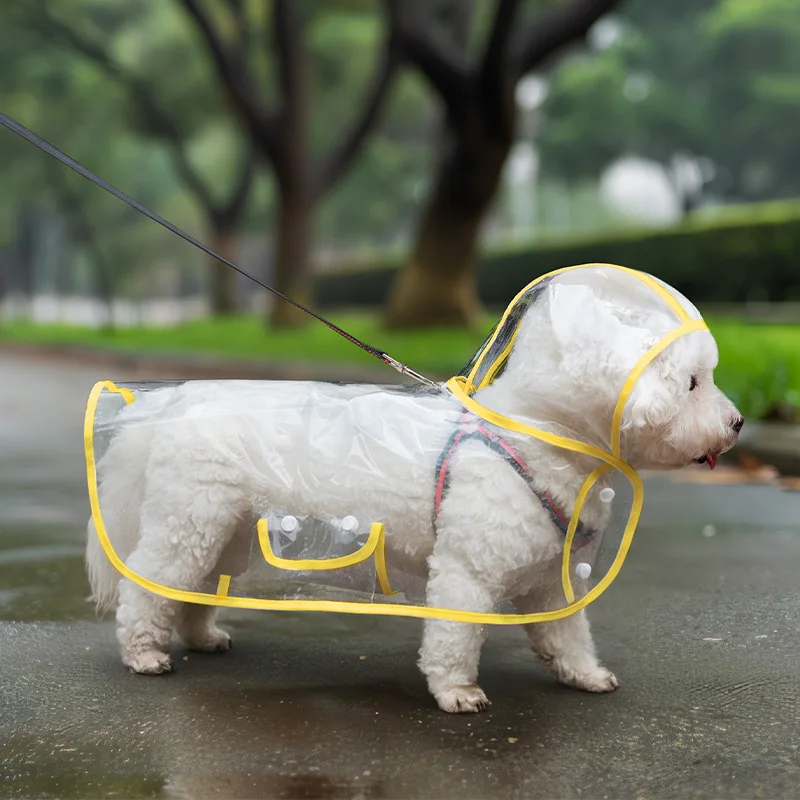 Chubasquero transparente impermeable para perros, ropa para días lluviosos, artefacto para caminar para perros, Poncho de peluche Bigbear para mascotas pequeñas y medianas, impermeable para mascotas