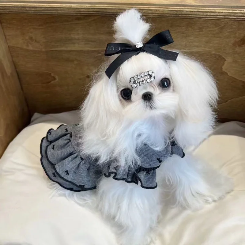 Ropa para perros con lazo gris de verano e invierno, Falda de punto de peluche bonita, media falda de encaje con lazo, vestidos finos para perros pequeños