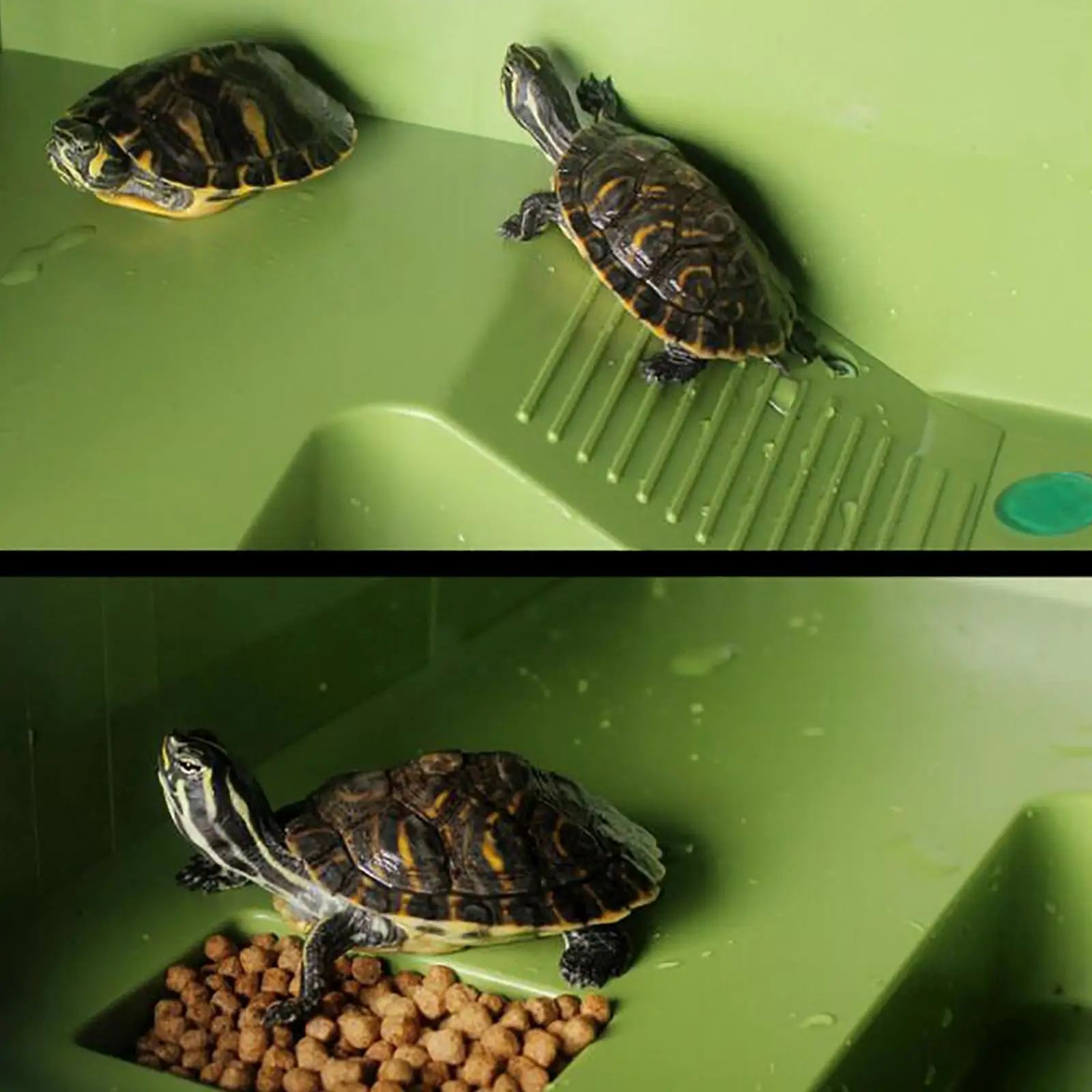 Turtle Basking Platform Turtle Floating Island Aquarium Island Turtle Climbing Ladder Aquarium Accessories Decoration