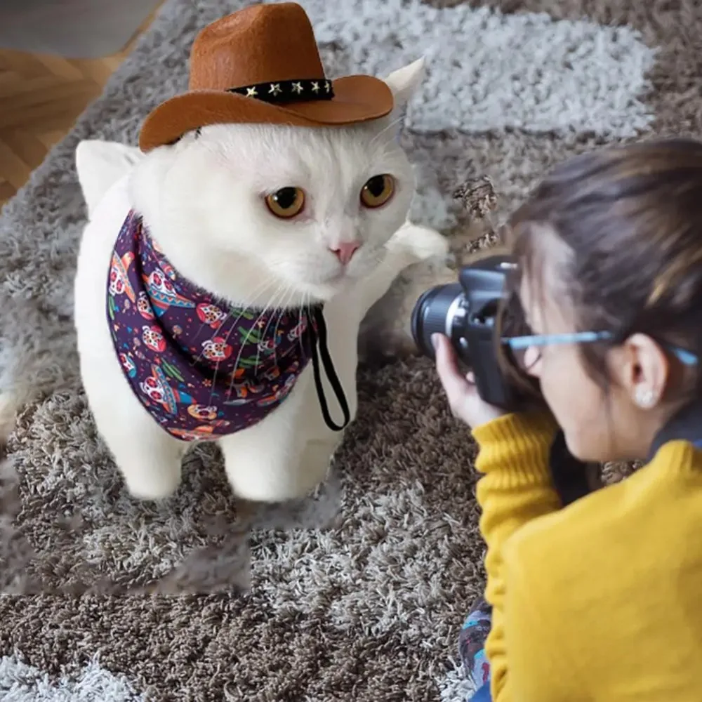 Sombrero de vaquero de tela no tejida para mascotas, accesorios para fotos, suave y cómodo, correas ajustables, gorras para fiestas callejeras para gatos y perros - imagen 3