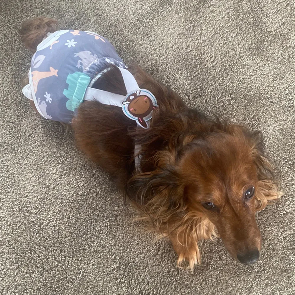 Pantalones cortos de dibujos animados para perros y mujeres, ropa interior, pantalones fisiológicos para mascotas, calzoncillos de pañales para niñas pequeñas, cachorros, Schnauzer, bragas para mascotas - imagen 3