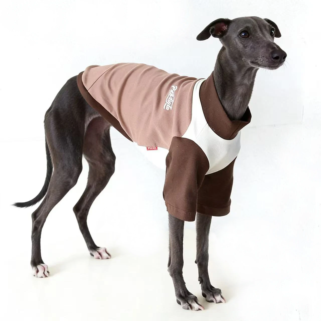 Abrigo de algodón para galgos y whippets – primavera/otoño - imagen 5