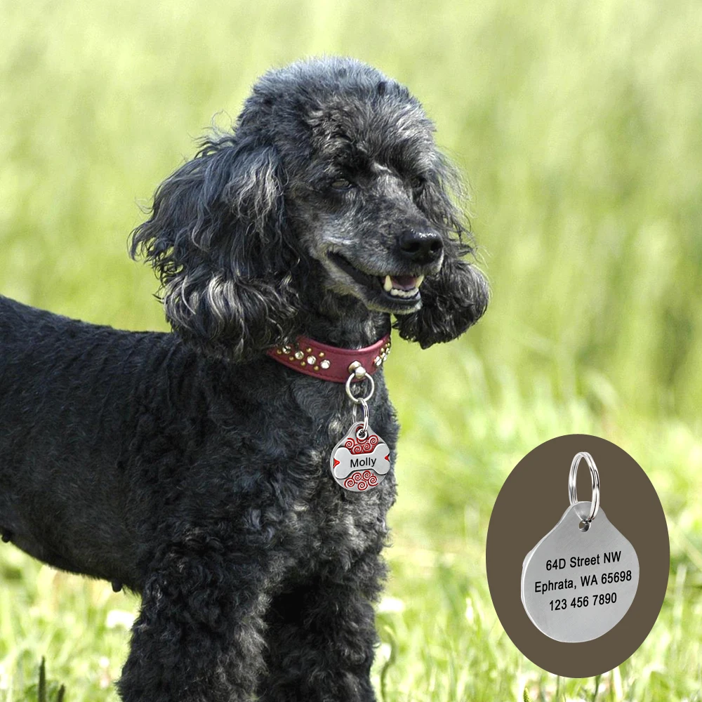 Etiqueta de identificación de perro personalizada, placa de identificación personalizada para mascotas, etiquetas de moda para perros, colgante, nombre grabado gratis, dirección, número de teléfono. para perros Collar Pug - imagen 4