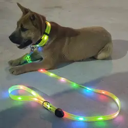 Correa LED recargable USB para perros – Luz para paseos nocturnos