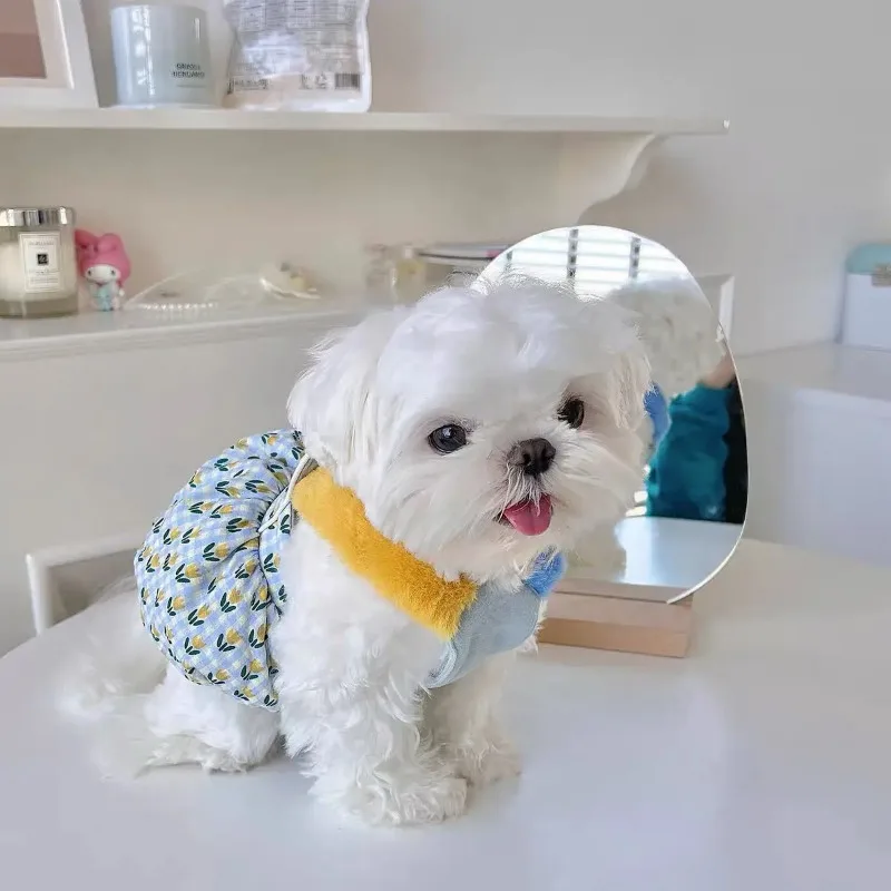 Falda de calabaza cálida INS, bonito abrigo a cuadros, falda de tulipán para mascotas, cachorro, gato, mascota, osos de Pomerania, vestido de Otoño Invierno, vestido para perros pequeños - imagen 2