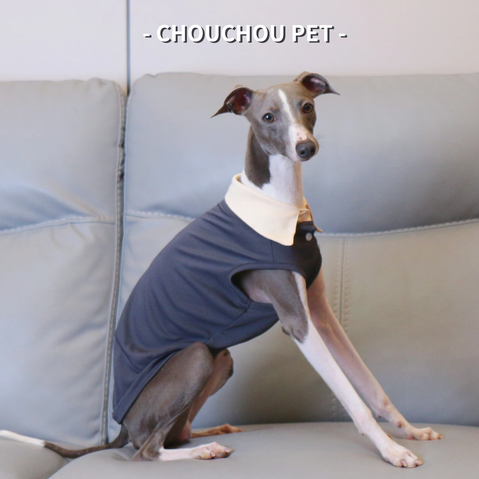 Galgo italiano Whippet Sighthound Polo de verano Camiseta para mascotas Gris - imagen 4