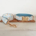 Dog Collar Leash Set