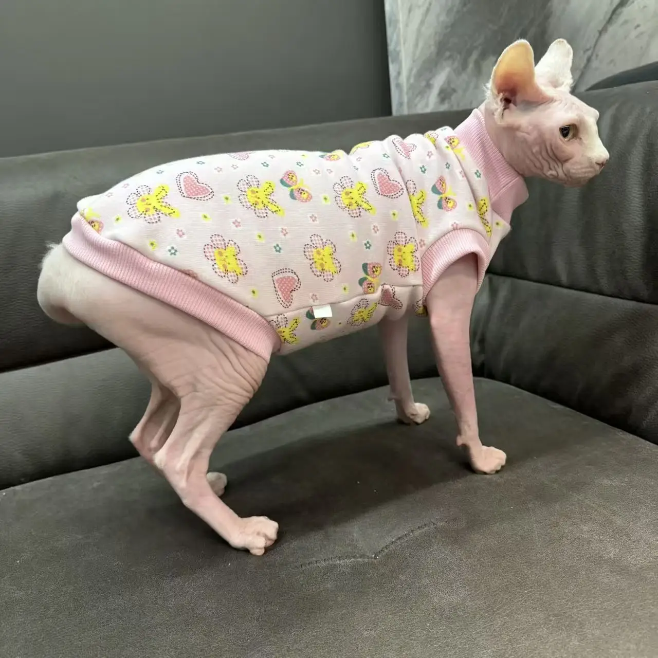 Abrigo de lana rosa para gato Sphynx en invierno, sudadera suave con flores para gatitos, pijamas gruesos y cálidos de otoño para Devon Rex - imagen 3