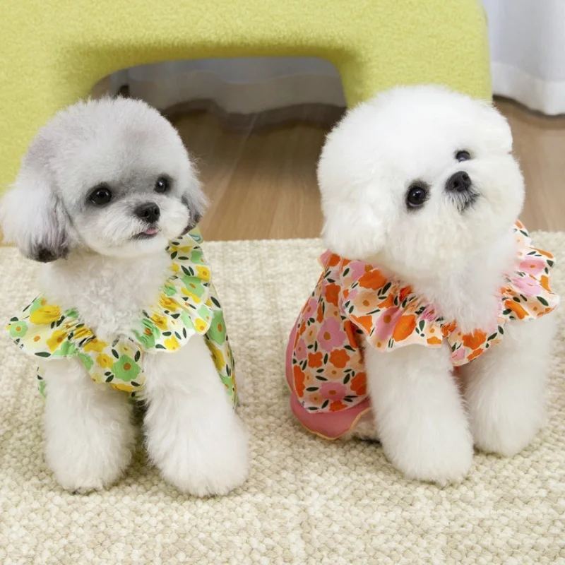Falda de encaje verano para perro, gato y caniche con estampado floral - imagen 5