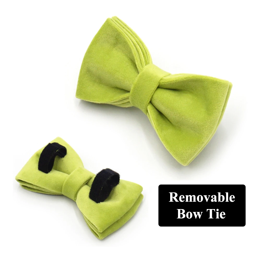 Collar de terciopelo verde aguacate para perro, arnés personalizado de tamaño Mini para mascotas, para perros pequeños y gatos, bonito conjunto de Collar y correa con pajarita - imagen 4