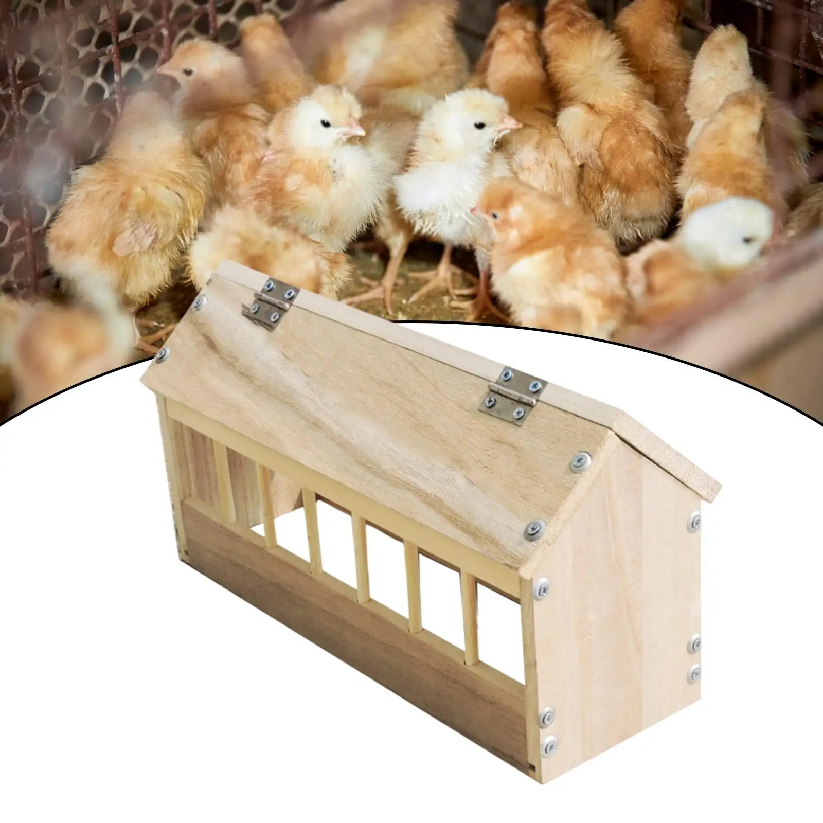 Comedero para palomas, caja alimentadora para pollos, contenedor, equipo de alimentación de madera para palomas, loros, codornices, patitos, aves de corral