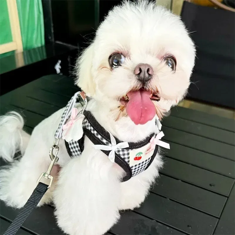 Arnés con correa para el pecho para perros, Collar para mascotas, conjunto de correas, accesorios para mascotas, collares para perros, chalecos de cuero para cachorros, accesorios - imagen 5