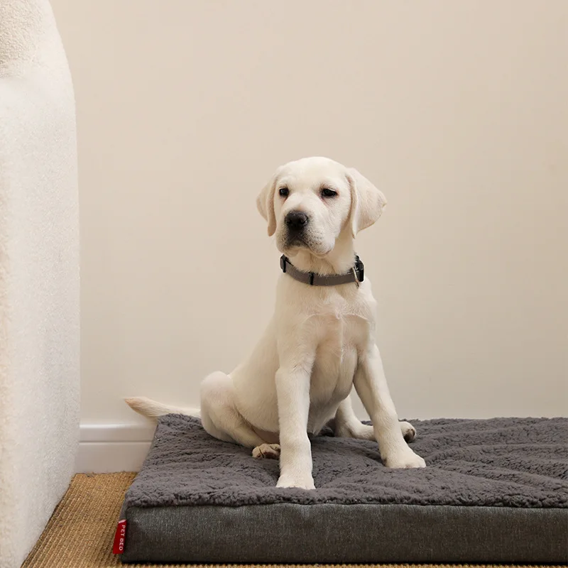 Cama lino lavable impermeable para perros y gatos - Jaulas - imagen 4