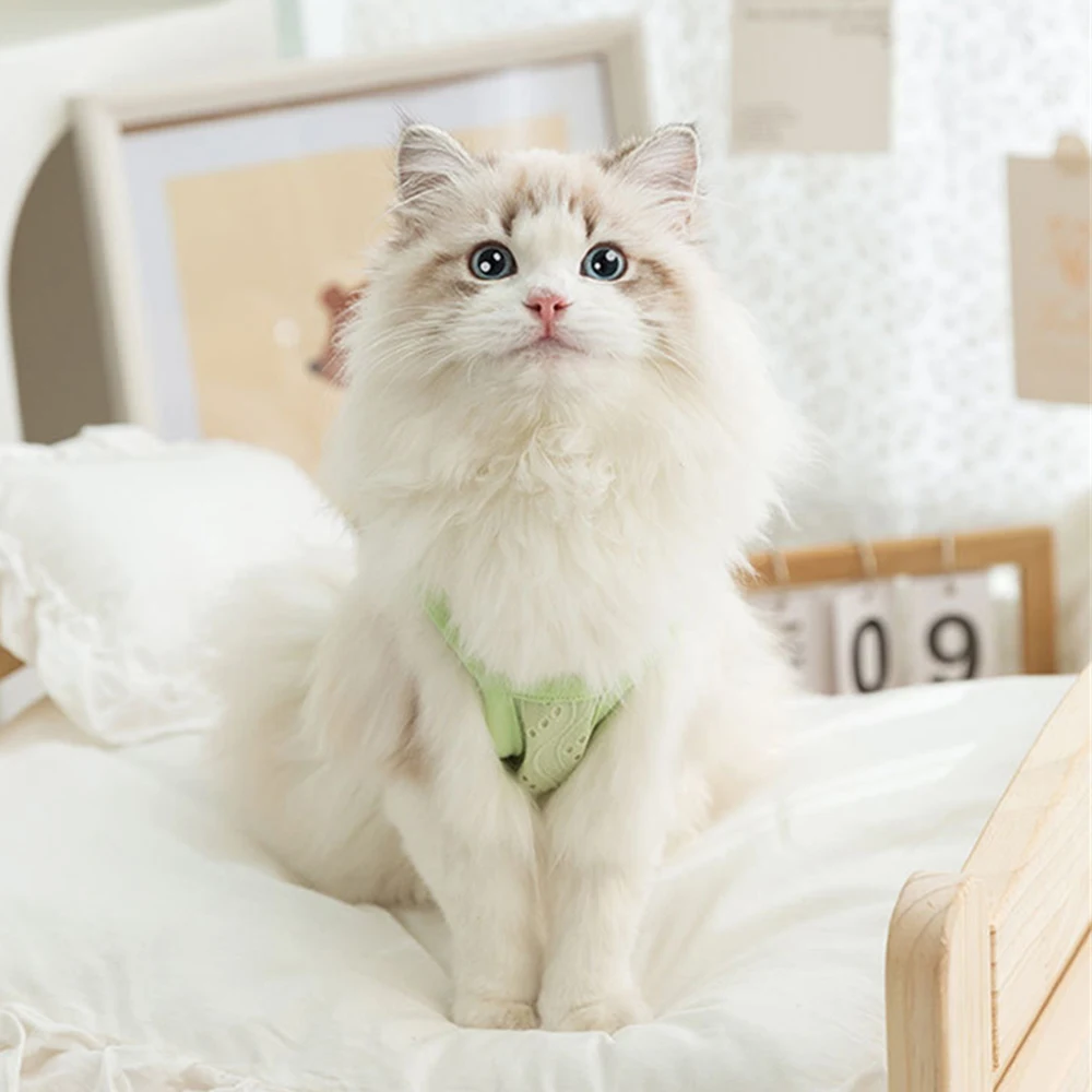 Ropa de malla transpirable para gatos Sphynx, camisola de verano para mascotas, chaleco para gatos, Gotas, gatitos, Garfield, camisas para perros, ropa para mascotas - imagen 5