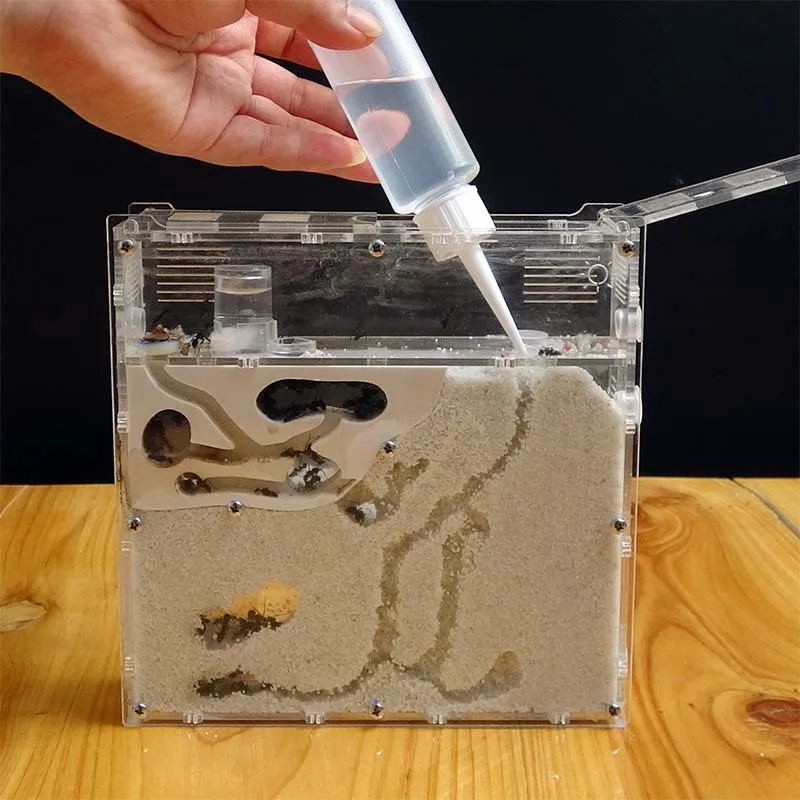 Divertida fábrica de hormigas, casa de hormigas, castillo, insectos, terrario, jaula para hormigas, caja de insectos, guardería, herramienta educativa ecológica para niños S21 - imagen 4