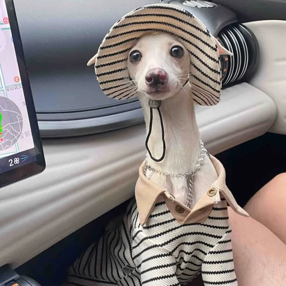 Ropa para perros mediados, Polo a rayas de color caqui con bolsillo para galgo, abrigo de algodón suave de manga larga, traje con sombrero para Whipbit - imagen 5