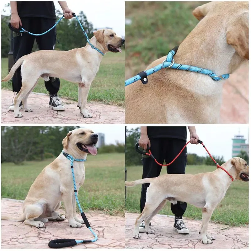 Accesorios cachorros - Vista superior