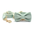 bow collar leash