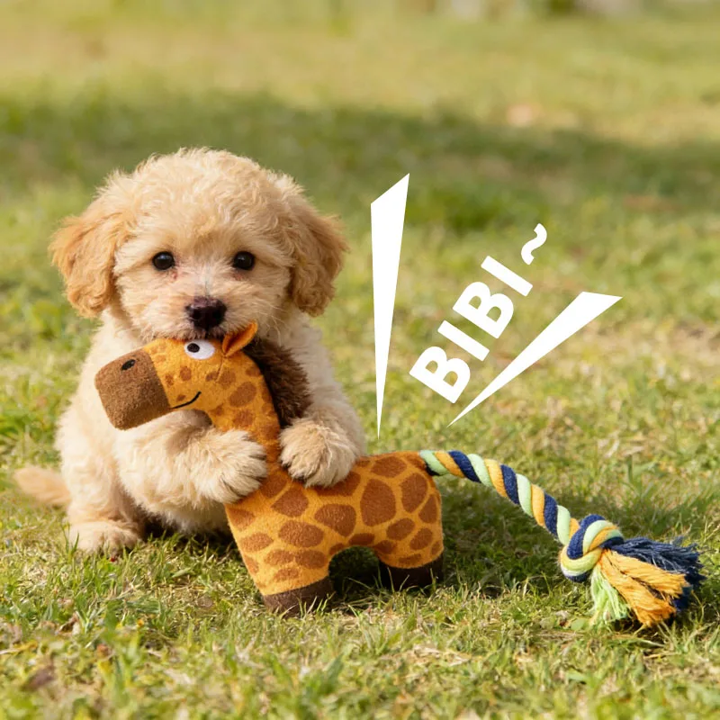 Juguete de cuerda para cachorros con sonido – Resistente y masticable - imagen 2