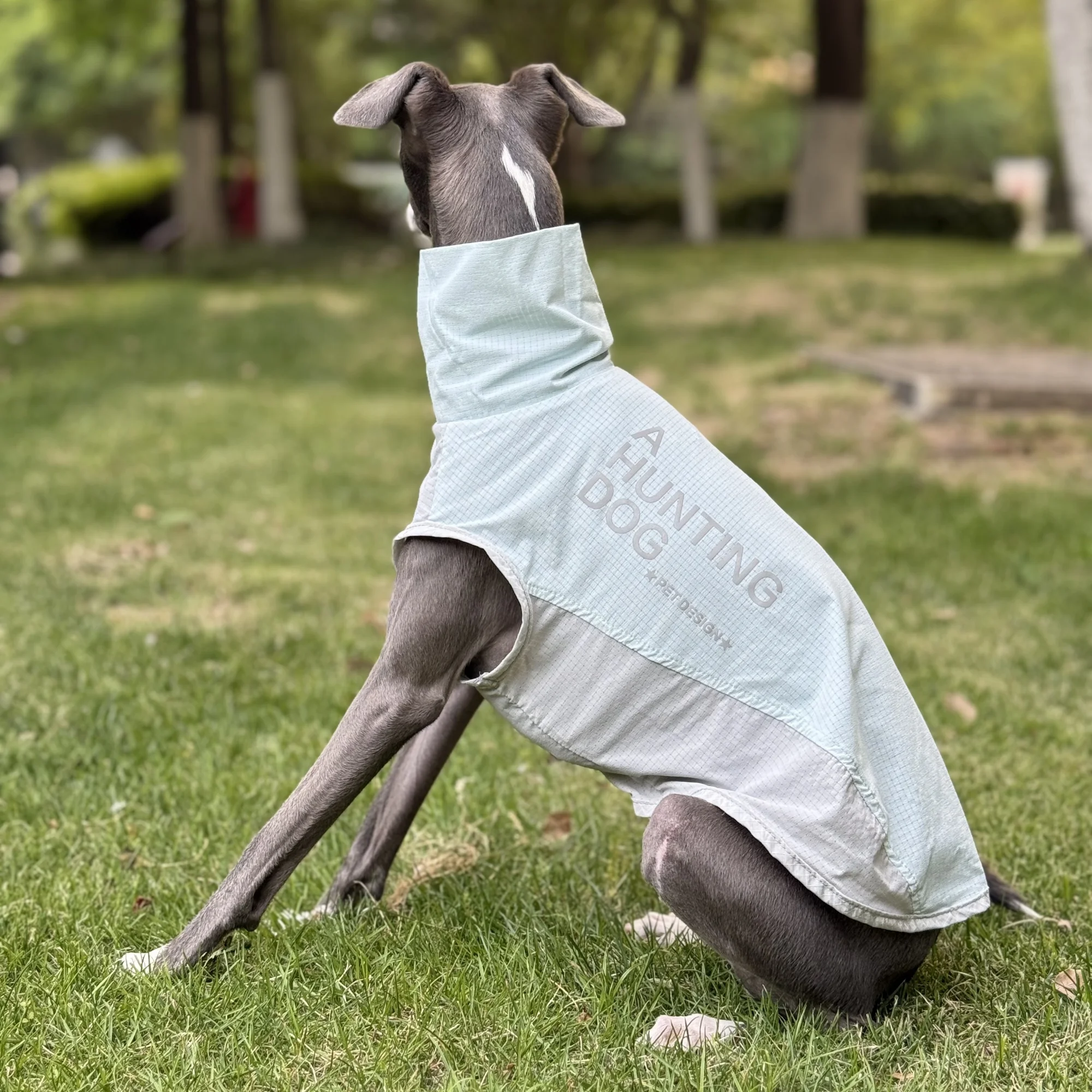 Chaleco de cuello alto sin mangas azul verano para Whippet Absorción de humedad Secado rápido Camisa transpirable para GreyHound italiano Pelaje fino para perros medianos - imagen 3