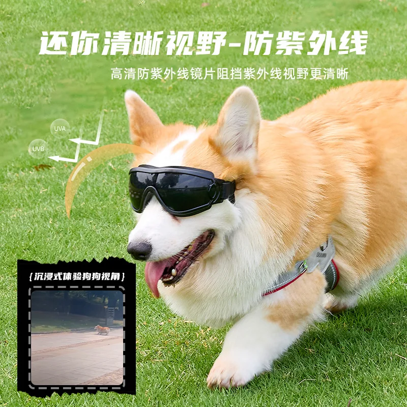 Gafas para mascotas, gafas para perros, protección UV a prueba de viento, suministros para sombreros para mascotas, gafas de sol para perros pequeños y medianos - imagen 2