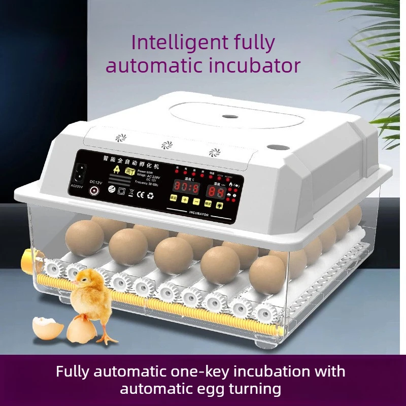 Incubadora automática inteligente para huevos de gallina, pato y ganso - imagen 2