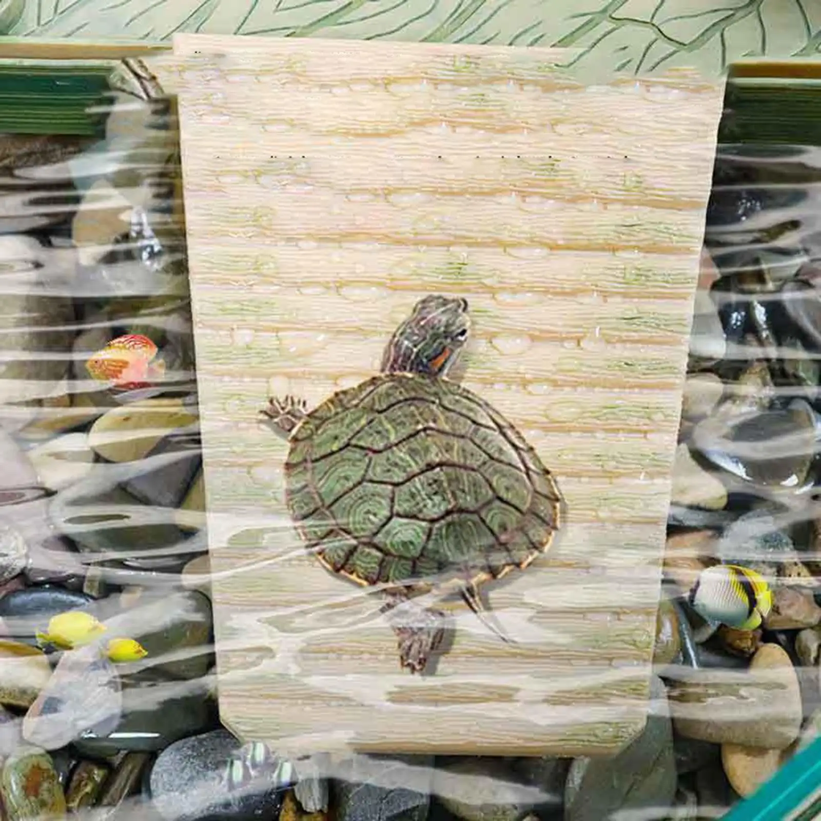 Plataforma para tomar el sol de tortuga con rampa de escalada, isla flotante para tortuga, tanque de tortuga, plataforma de secado flotante para acuario, plataforma tumbada - imagen 4