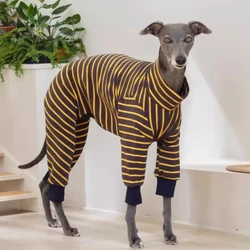Disfraces de Halloween para perros – cómodos y divertidos