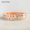 Dog Collar
