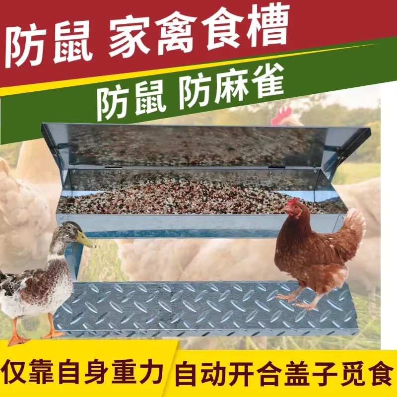 Canal para pollos con Pedal, artefacto para levantar pollos de acero inoxidable, alimentación automática, pato, ganso, aves de corral, canal Universal - imagen 4
