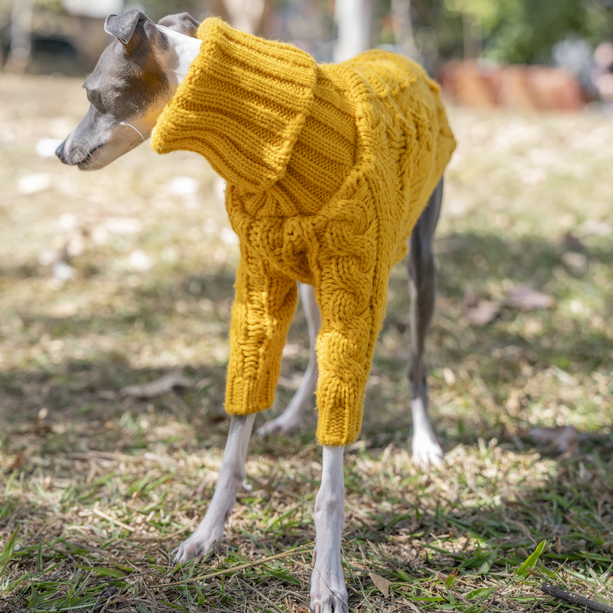 Suéter cálido de otoño para mascotas, ropa elegante de cuello alto para galgo italiano, ropa Whippet - imagen 3