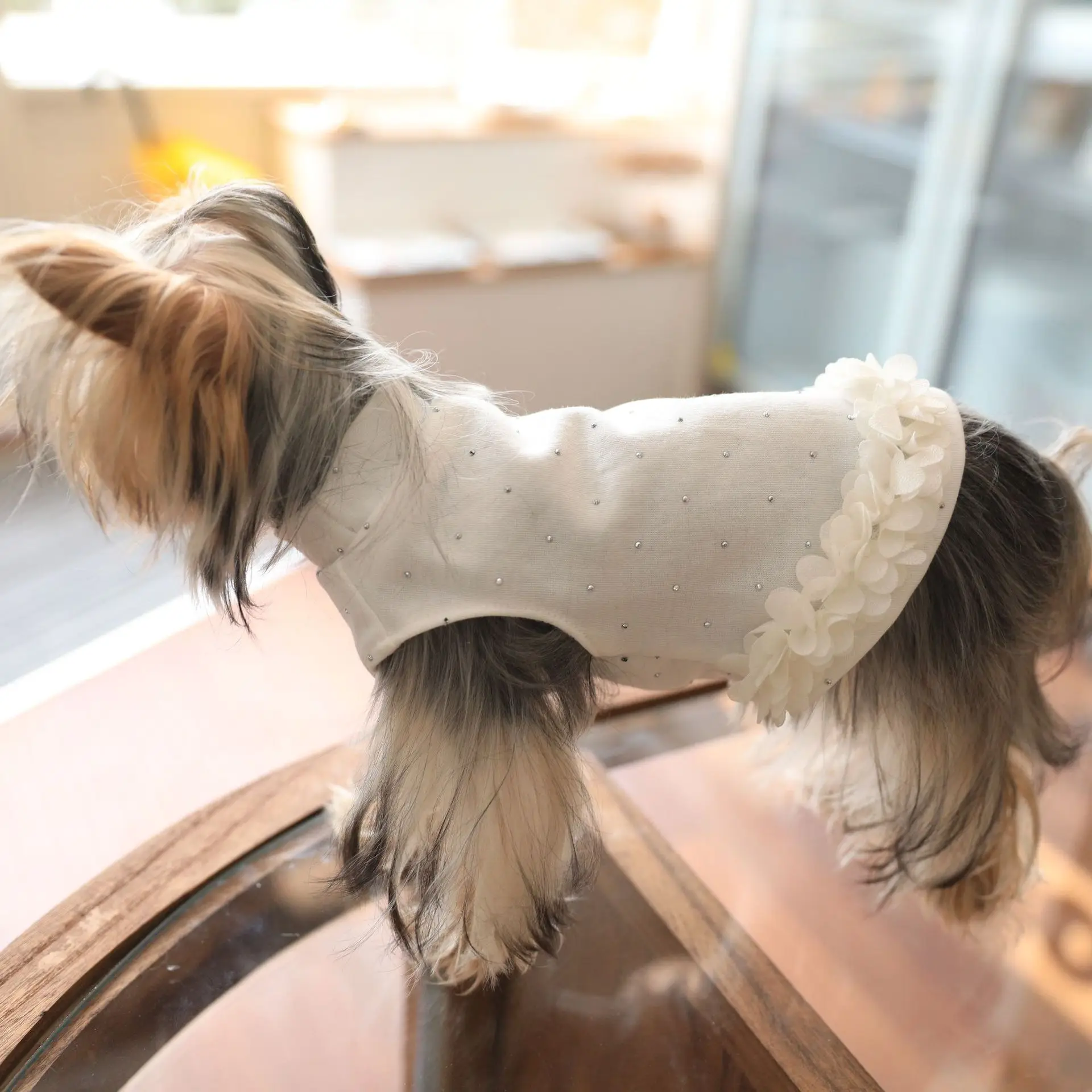 Camisa básica de Color sólido para mascotas, camiseta para gatos, dobladillo de encaje, vestido para perros y gatos, vestidos para perros pequeños, ropa para cachorros - imagen 4