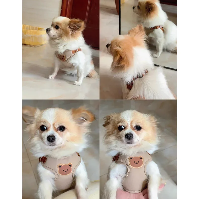 Conjunto de correas y arnés para perros, chaleco para perros pequeños y medianos, correa para el pecho para cachorros, arnés para Chihuahua y Bulldog Francés, chaleco transpirable, suministros para mascotas - imagen 5