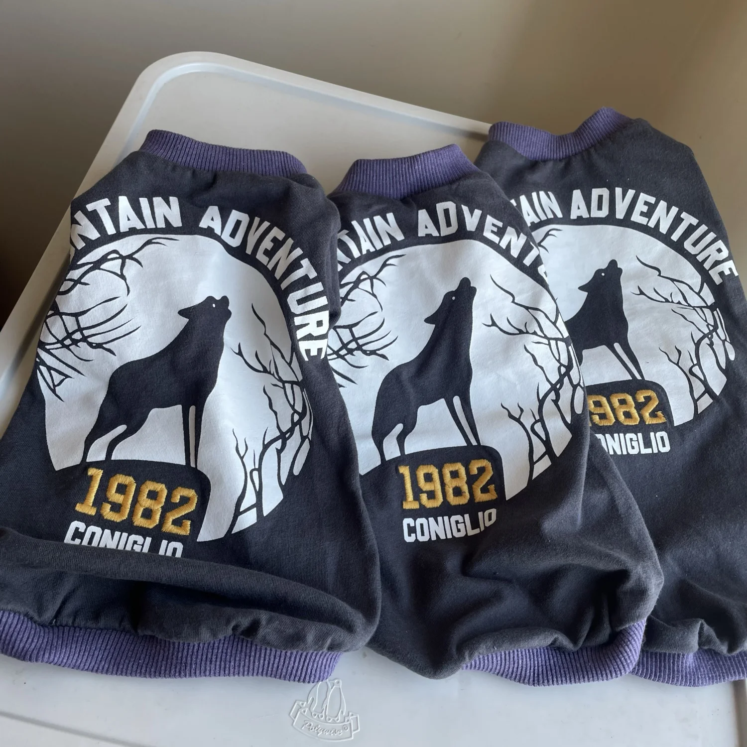 Camisetas deportivas de moda para el gato Sphynx en primavera Abrigo de manga larga para perros pequeños Mono de dibujos animados suave de verano para gatos machos Chaqueta hermosa para galgo italiano - imagen 2