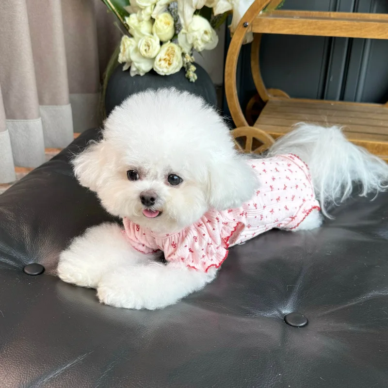 Mono con capucha floral para perros pequeños – Cálido y suave - imagen 3