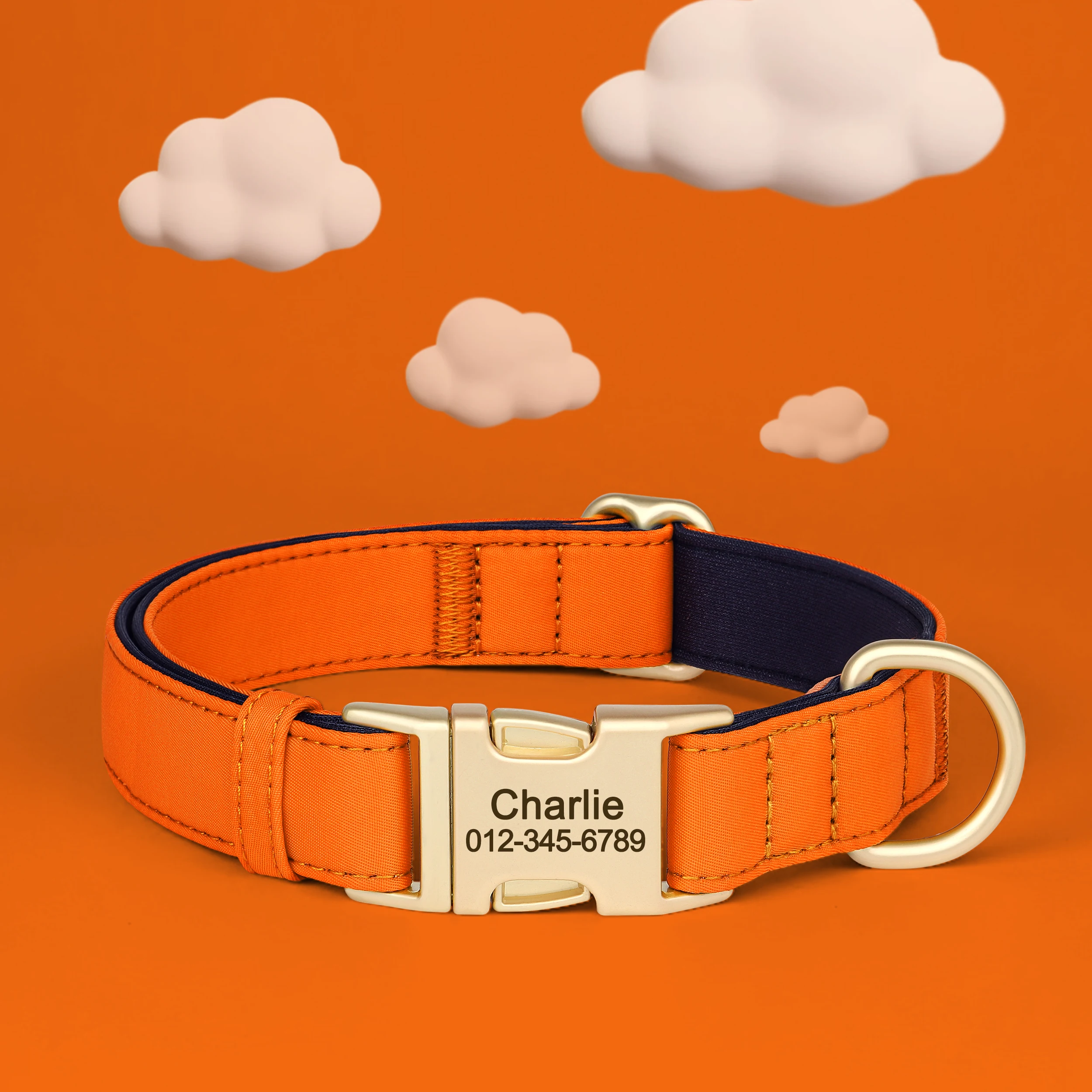 Collar de perro personalizado, collares de nailon impermeables para perros, Collar acolchado suave para mascotas, grabado gratis para perros pequeños, medianos y grandes Pitbull - imagen 4