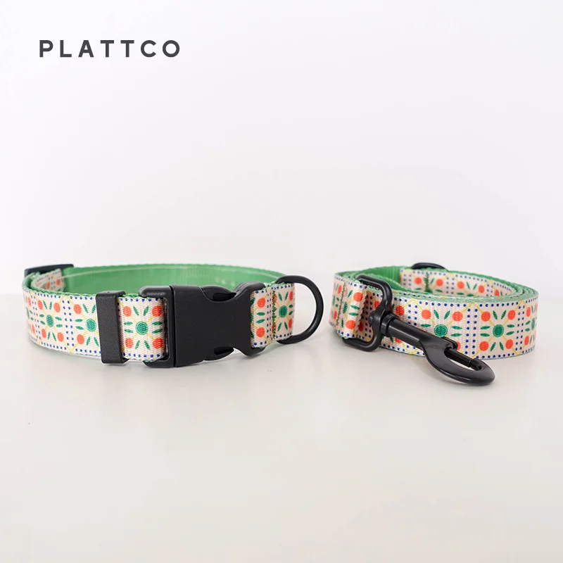 Dog Collar Leash Set
