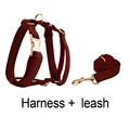 Harness   leash