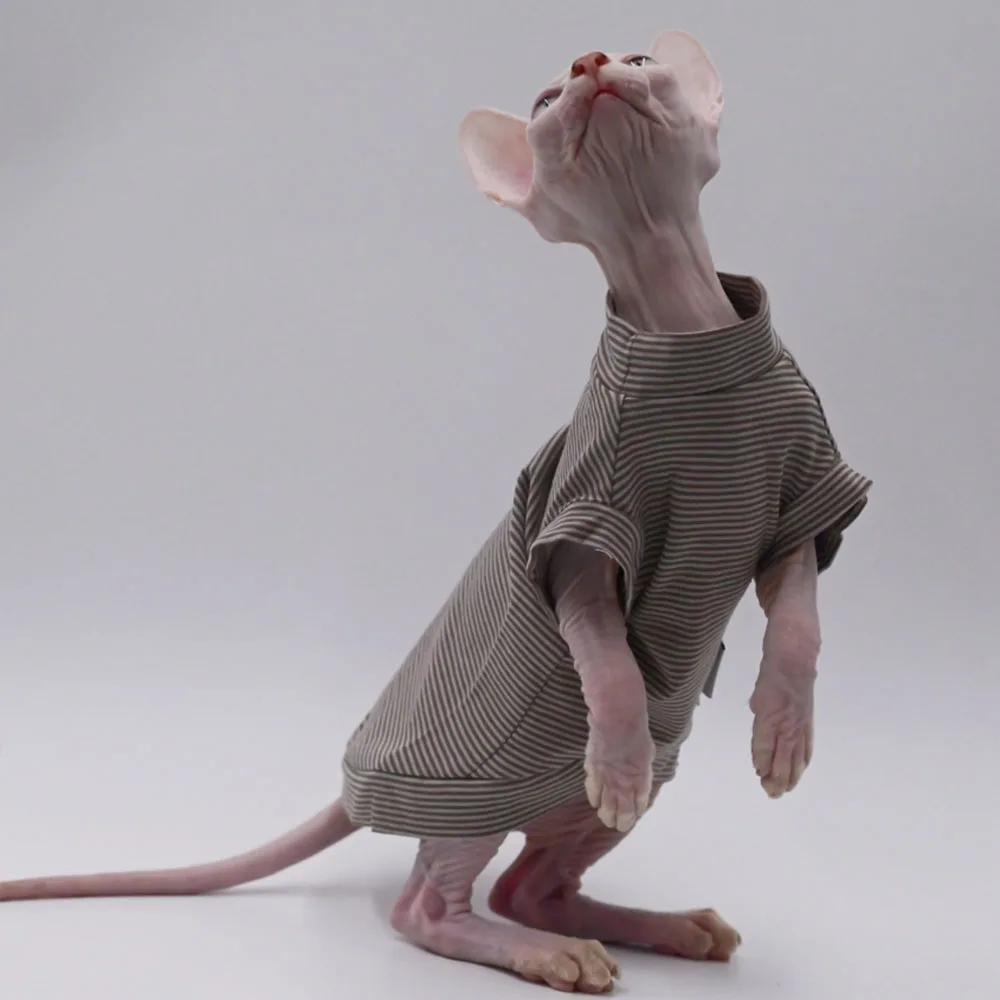 Chaleco de algodón a la moda para gatos Sphynx, ropa de manga corta a rayas marrones para gatitos, abrigo suave para disfraz Devon Rex, primavera y verano - imagen 5