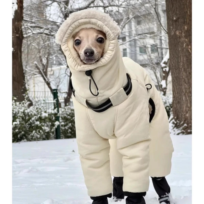 Abrigo impermeable para Greyhound – Protección frío invierno exterior - imagen 2